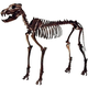 Illustration for article titled The Truth About Real-Life Dire Wolves